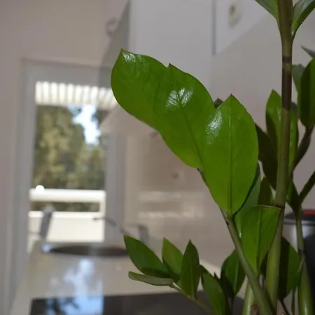 Apartamento Kristonia *